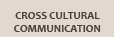 Cross Cultural Communications